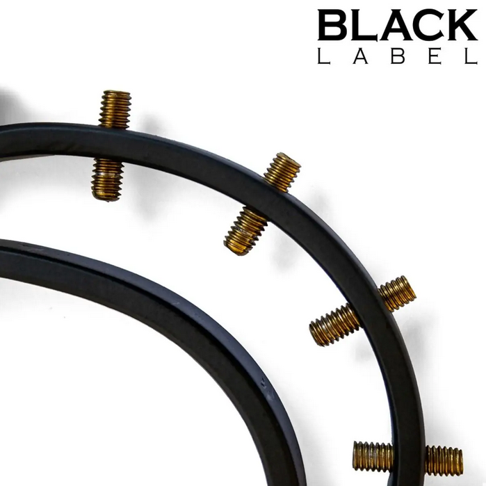 Pussy Clamp 2.0 w/ Spikes Black Gold BDSM Fetish Bondage Device