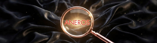 Aneros Anal Toys Blog Post Banner