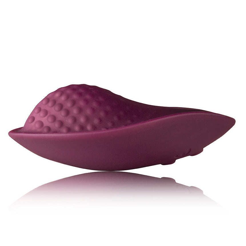 Rocks Off Knickerbocker Glory Couples Remote Controlled Panty Vibrator on a white background