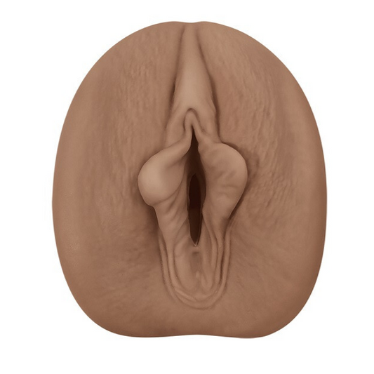 Brown anatomical model of a human female reproductive system on a white background