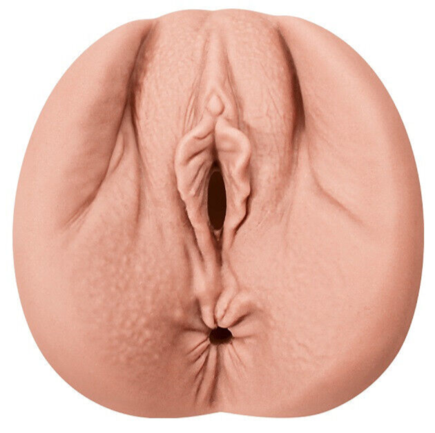 Realistic depiction of a female reproductive organ on a white background