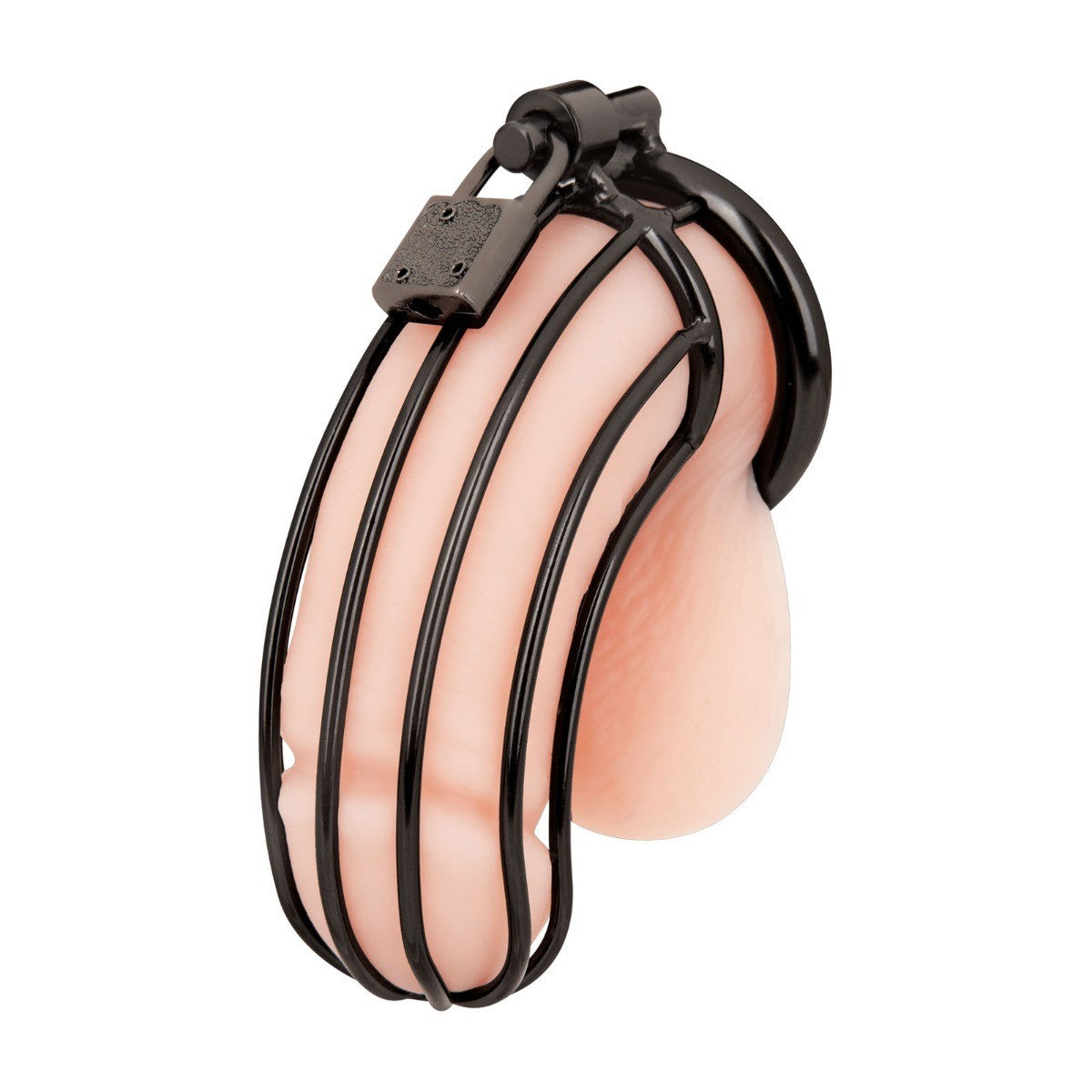 Black cock cage on a penis on a white background