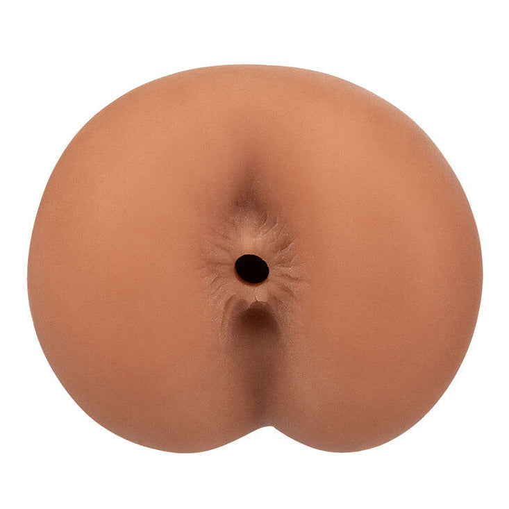 Model of a female anus on a white background
