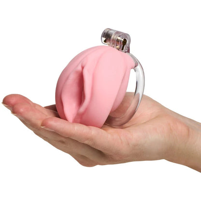 Cellmate Pussyfyer Pussification Vulva Male Chastity Sissy Cock Cage Humiliation