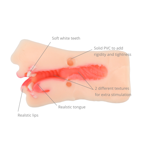 Diagram of a realistic tongue and lips with labeled features on a white background