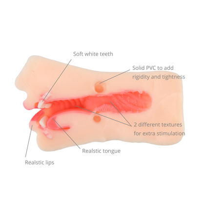 Diagram of a realistic tongue and lips with labeled features on a white background