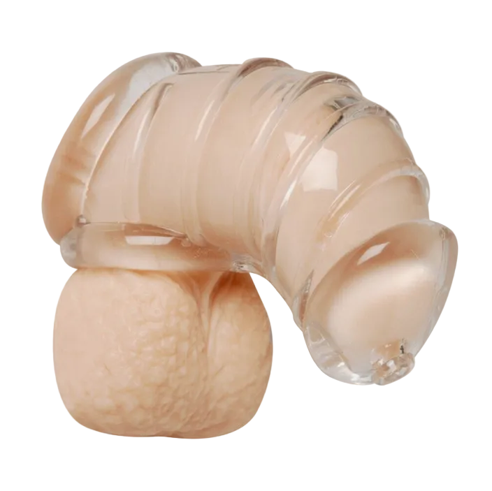 Master Series Detained Soft Body Male Chastity Cock Cage BDSM Fetish Sex Bondage