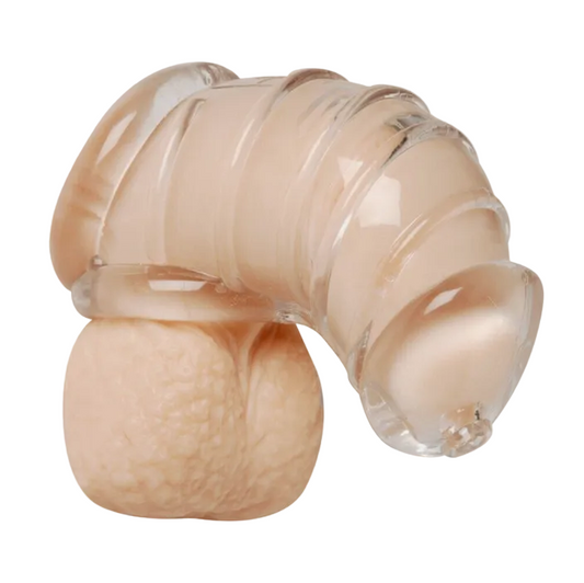Master Series Detained Soft Body Male Chastity Cock Cage BDSM Fetish Sex Bondage