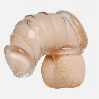Master Series Detained Soft Body Male Chastity Cock Cage BDSM Fetish Sex Bondage