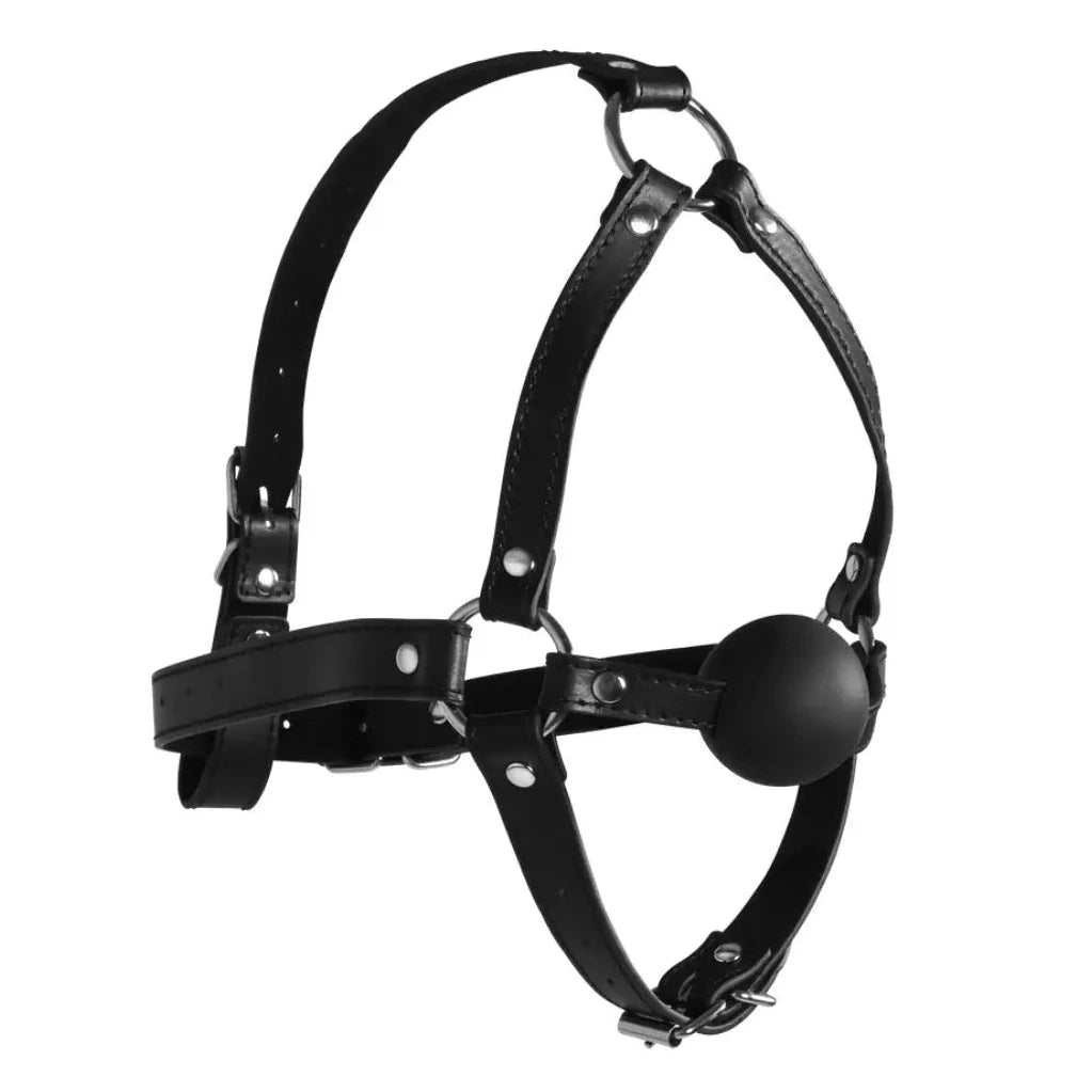 Black leather harness on a white background