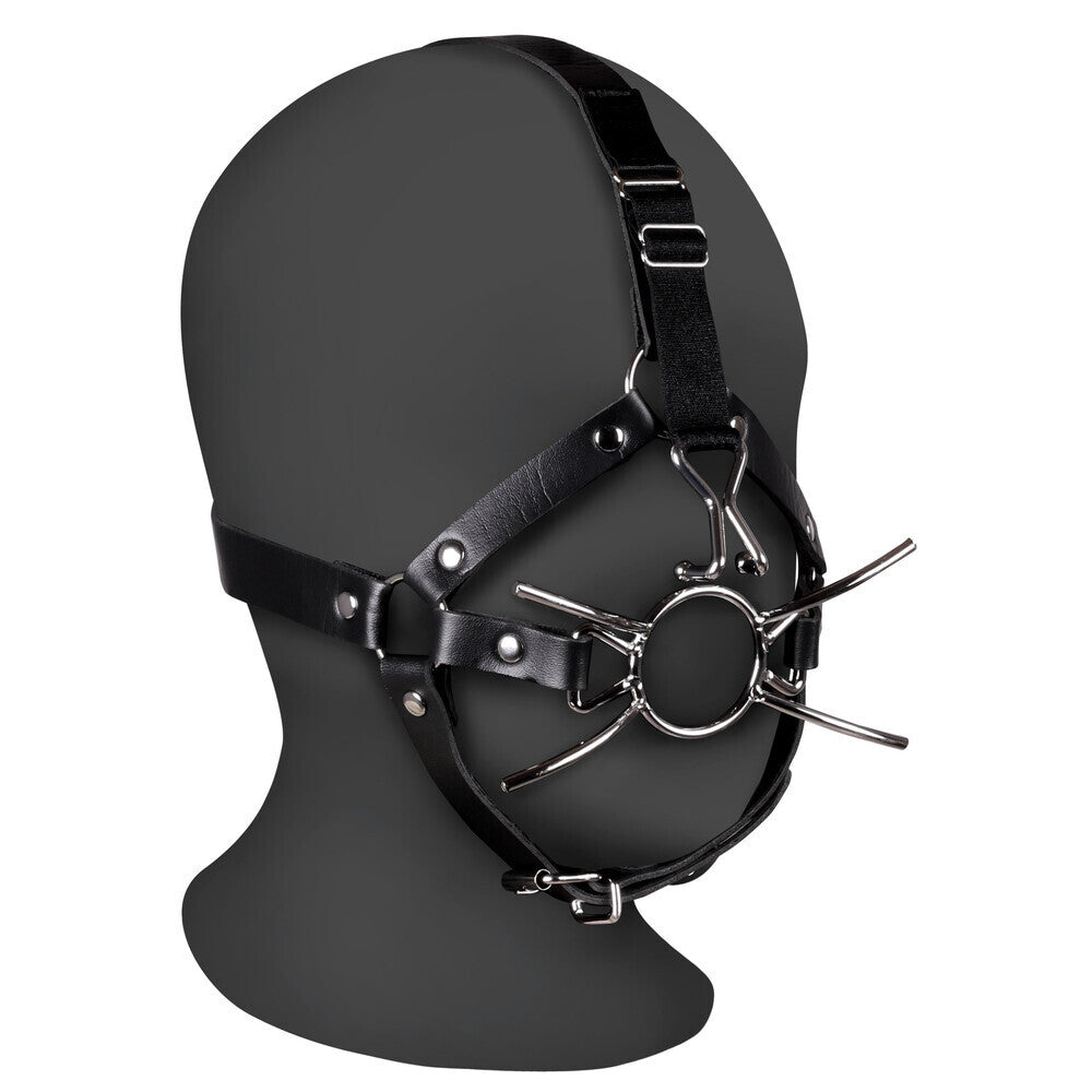 Black leather head harness with metal components on a mannequin head against a white background
