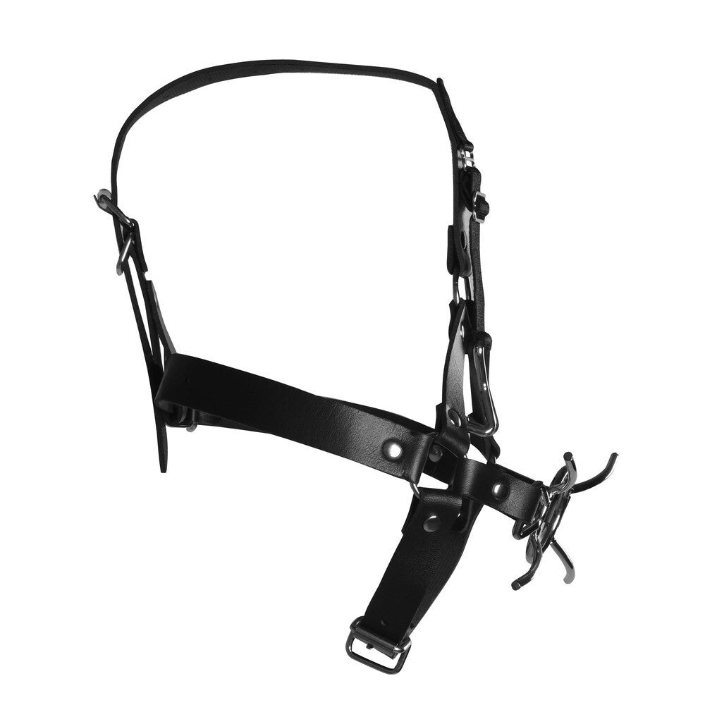 Black leather harness on a white background