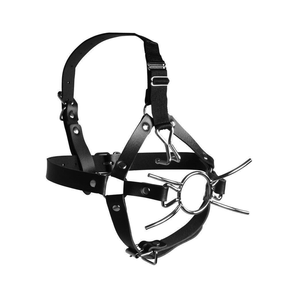 Black leather harness with metal gag components on a white background