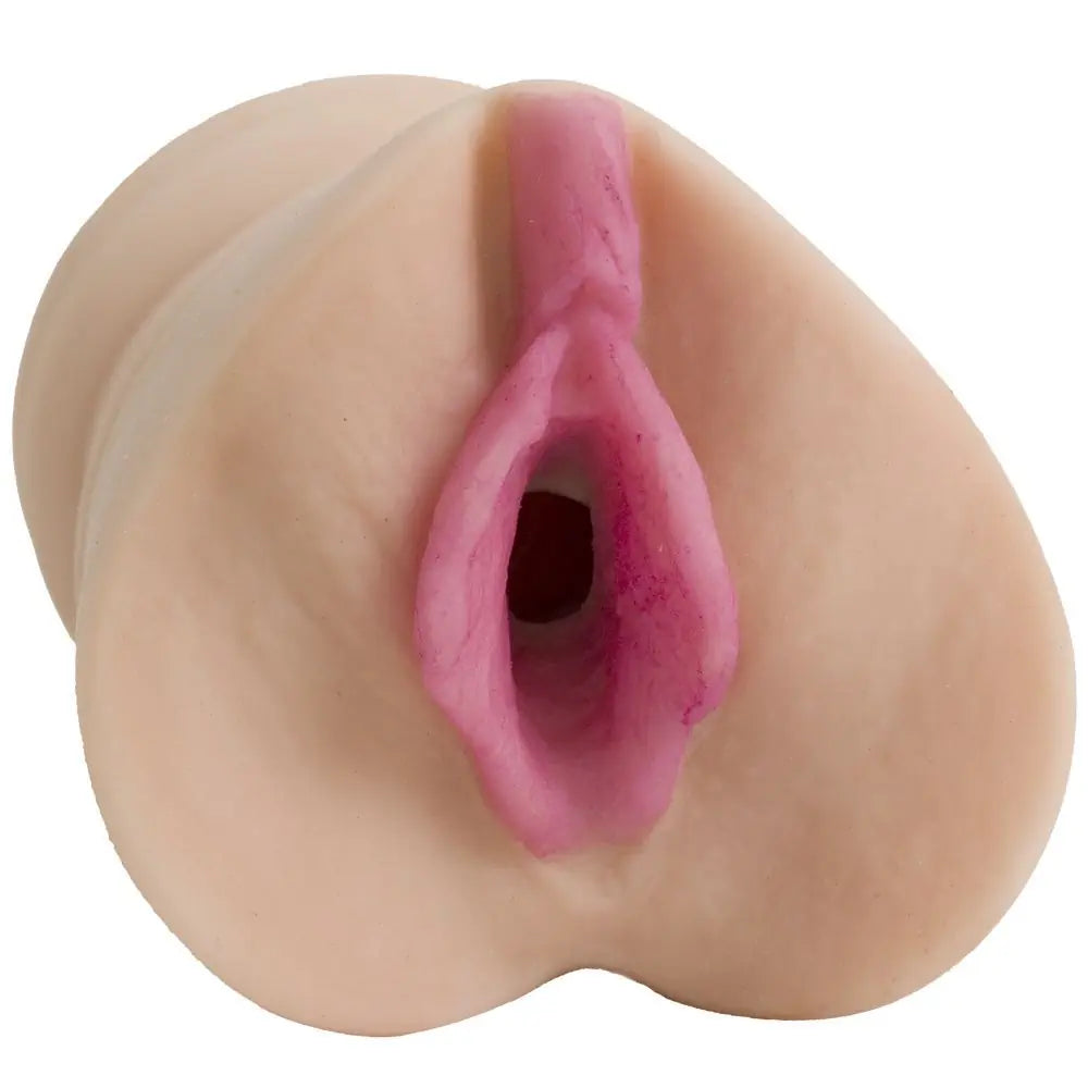 Realistic model of a female reproductive organ on a white background