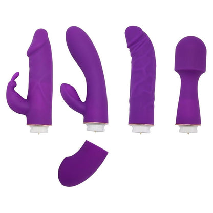 Private Collection Vibrator Kit 4 Sexy Toys Clit G-Spot Rabbit Wand Dildo Set