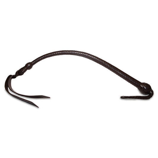 Brown leather whip on a white background
