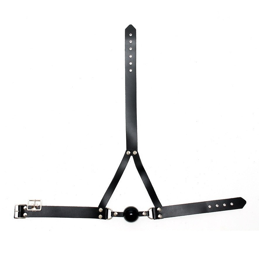 Black leather harness with metal hardware on a white background