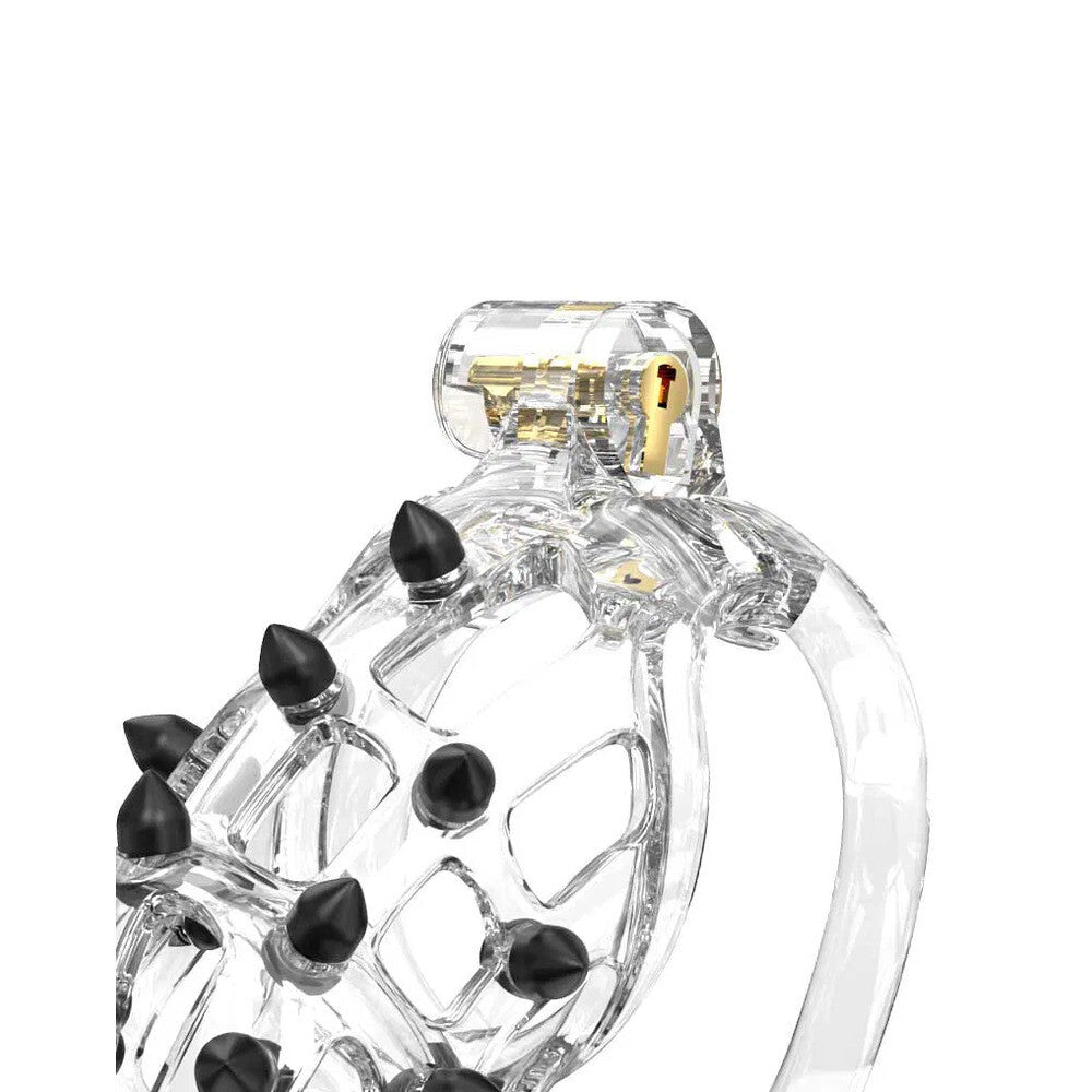 Clear cock ring chastity cage with black accents on a white background