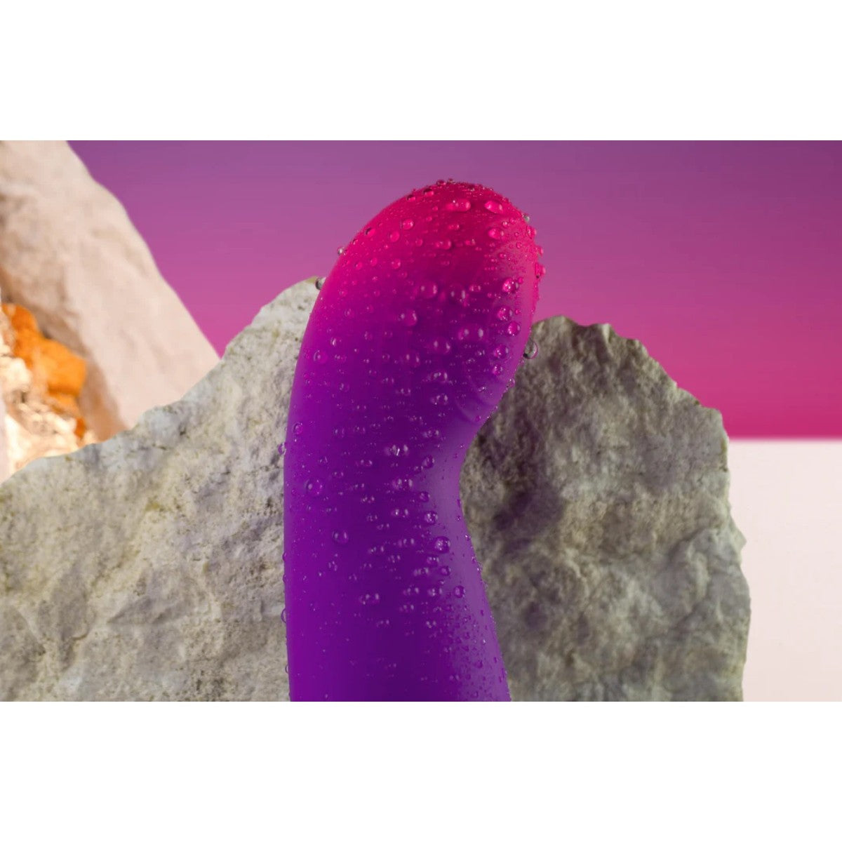 Purple textured object on a rock with a pinkish-purple gradient background
