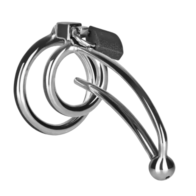 Stainless Steel Chastity Penis Cage Curved Hollow Plug BDSM Fetish CBT Bondage