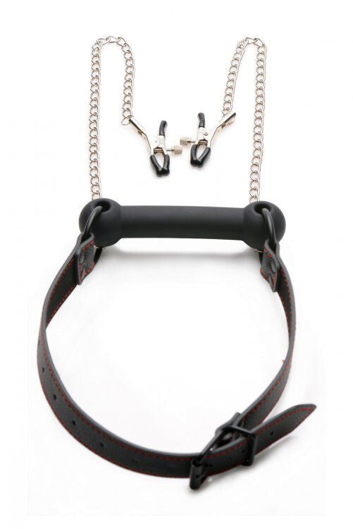 Black leather harness with metal chain on a white background