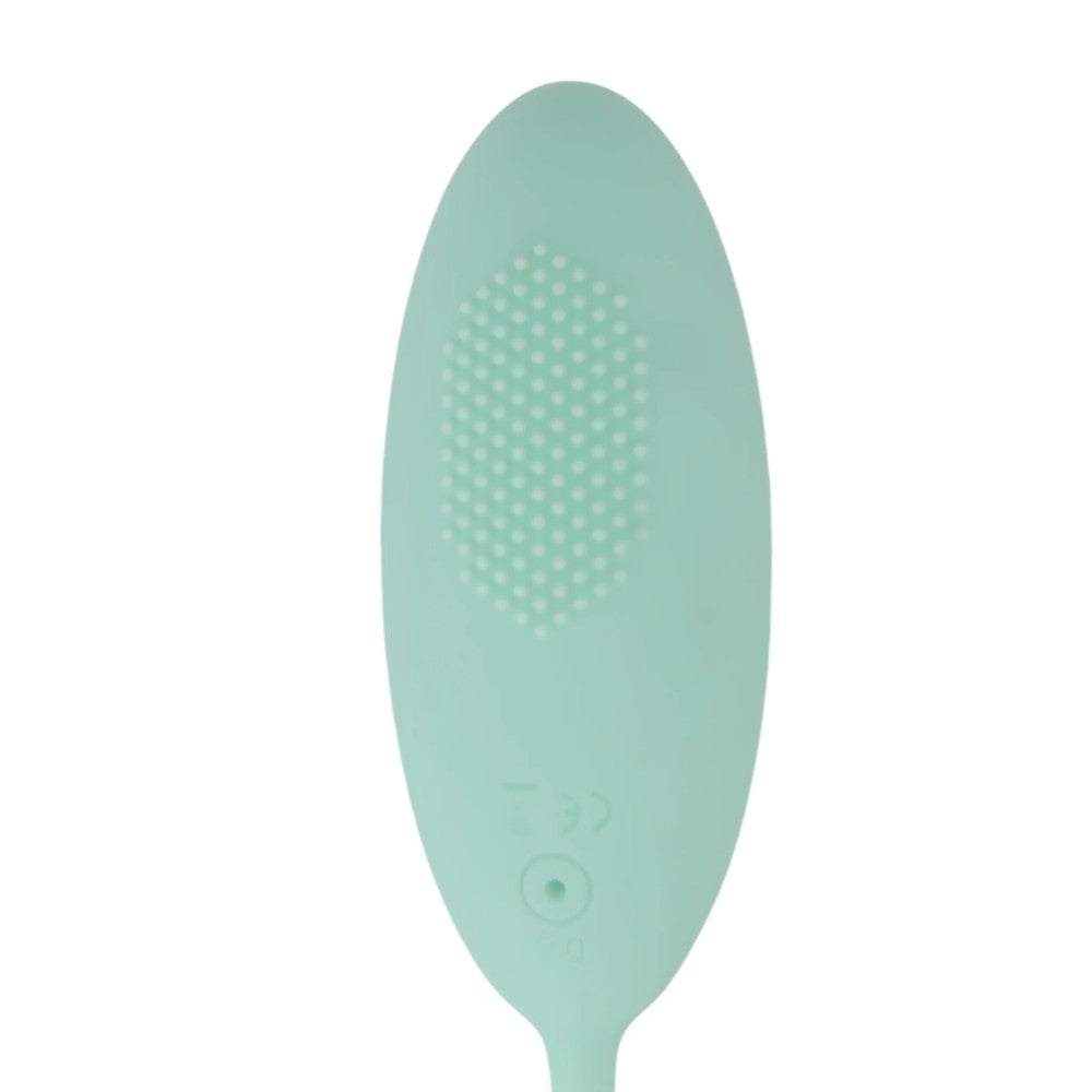 Tabooboo Take Me Back To Bed Remote Vibrating Love Egg 10 Speed Waterproof